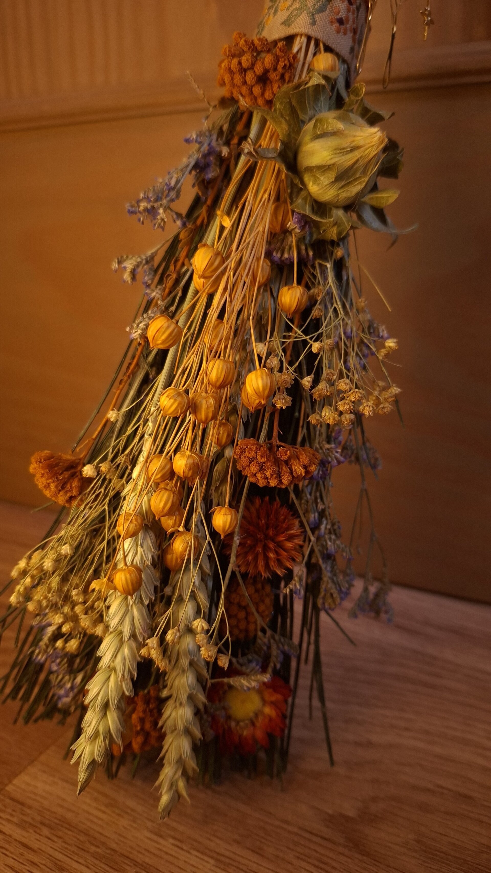 Escoba Campo Naranja - 2