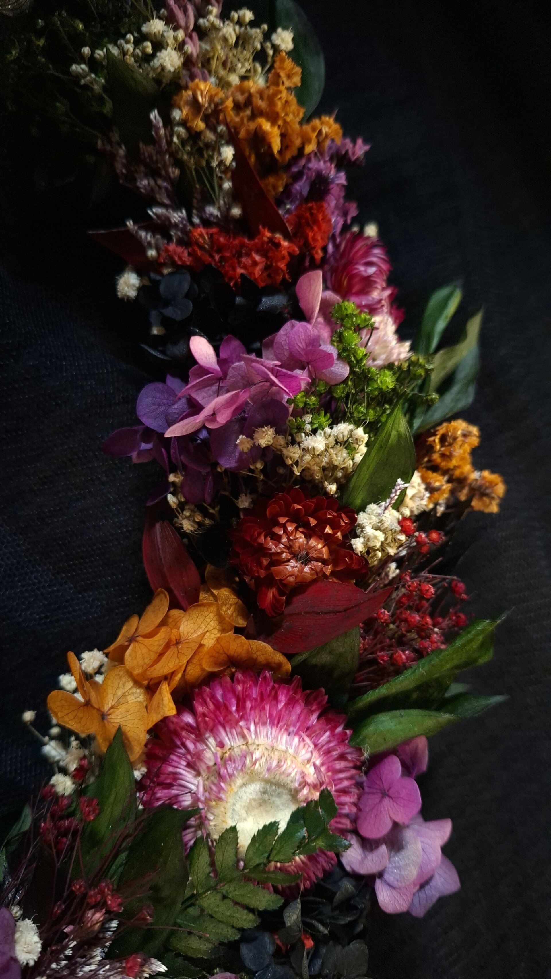 Luna Renacer Nocturno - 5