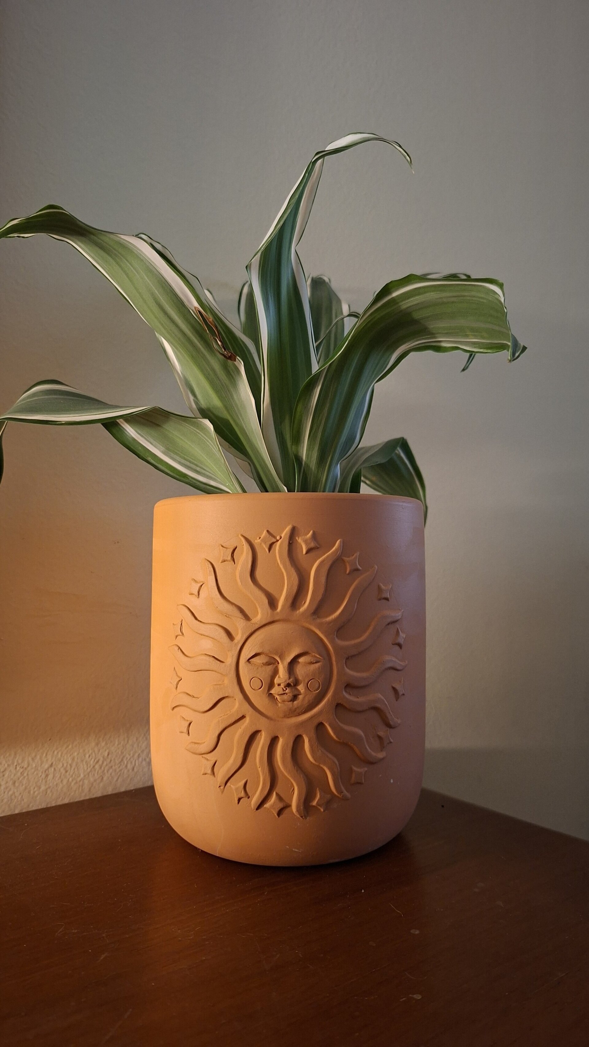 Macetero Terracota Sol - 1