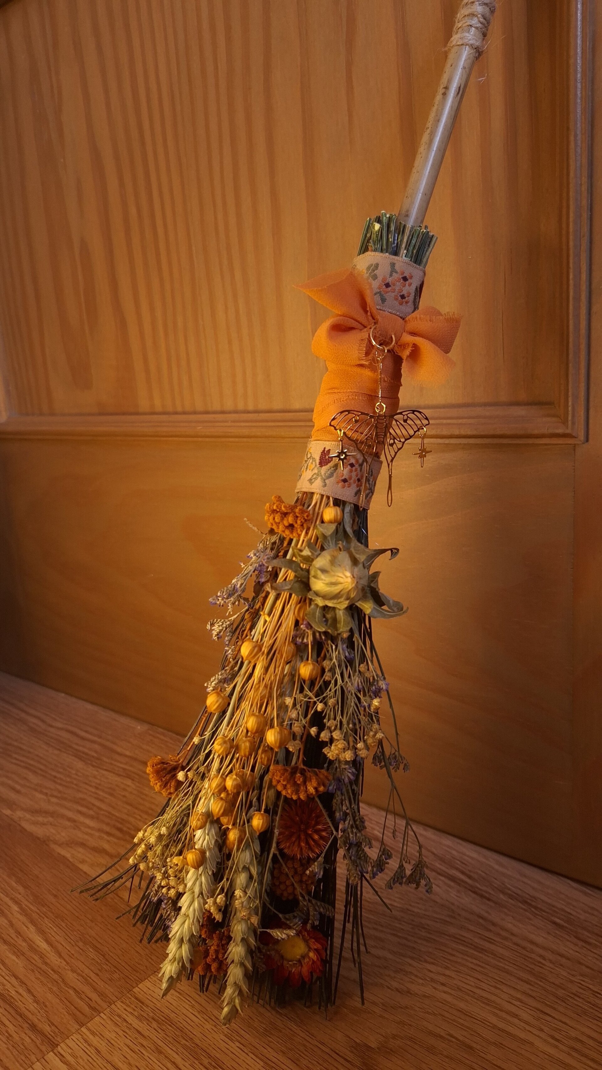 Escoba Campo Naranja - 4