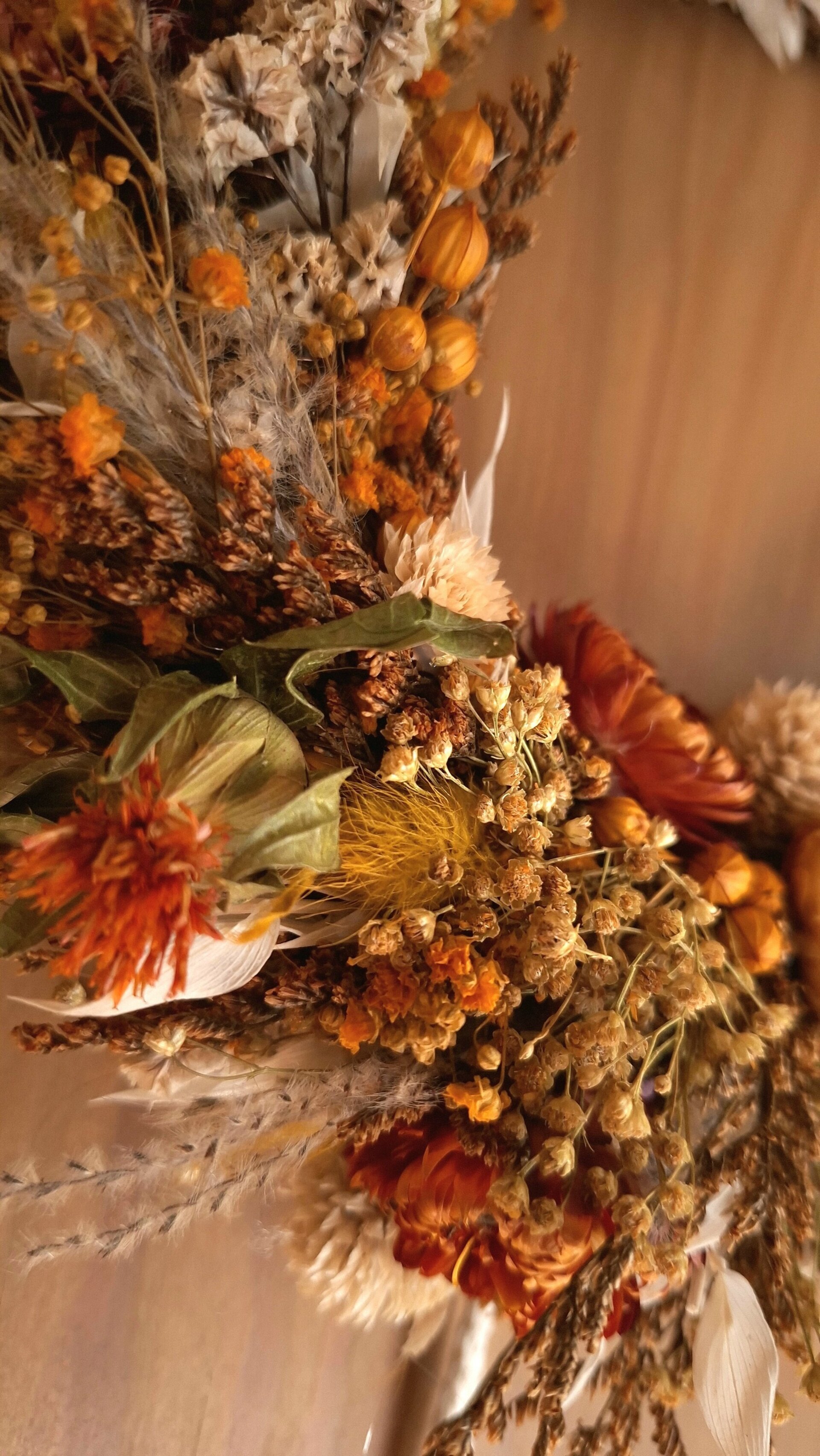 Luna Creciente Raíz - 2