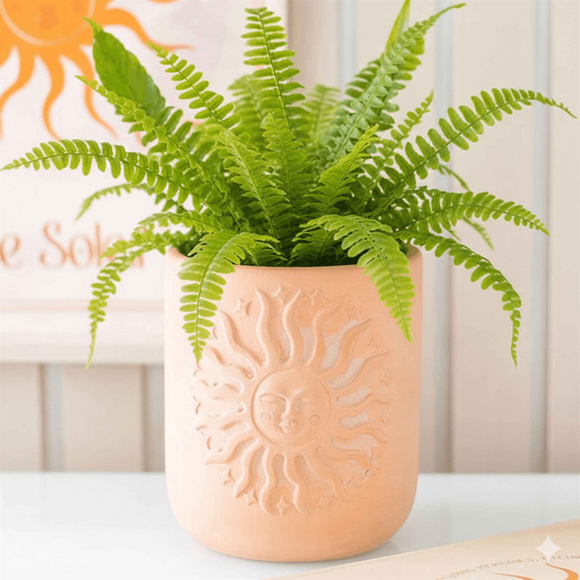 Macetero Terracota Sol - 1